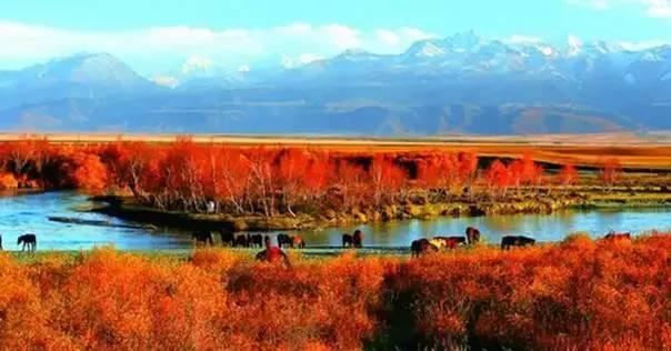 去新疆自驾一次，你才知道中国有多美、多辽阔